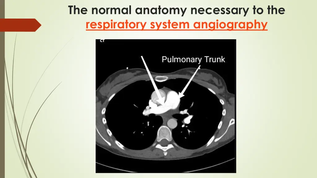 the normal anatomy necessary to the respiratory 7