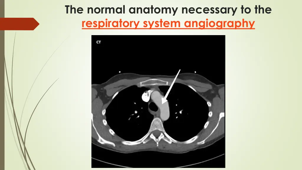 the normal anatomy necessary to the respiratory