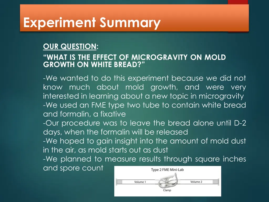 experiment summary