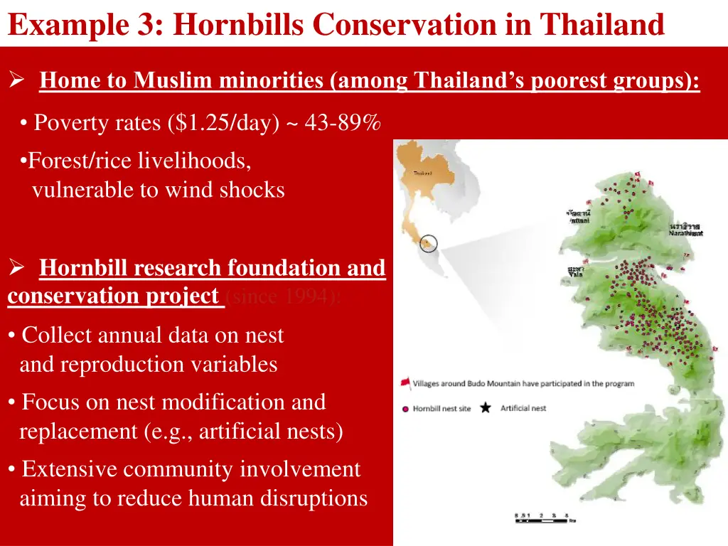 example 3 hornbills conservation in thailand 1