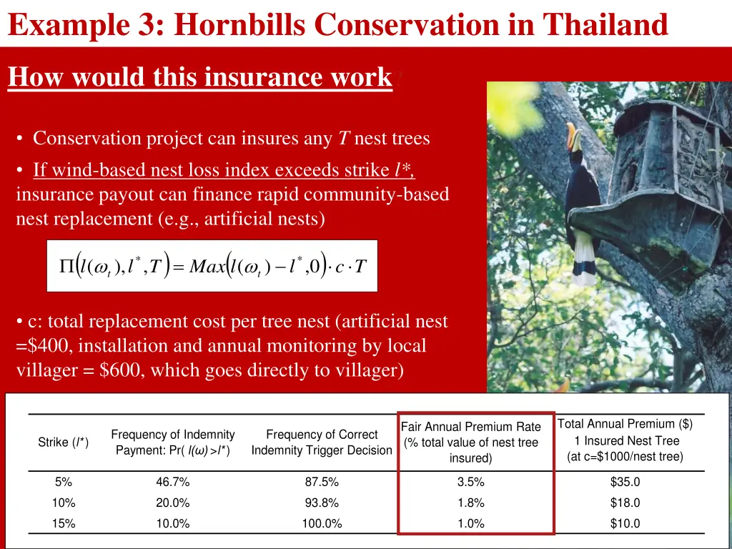 example 3 hornbills conservation in thailand 3