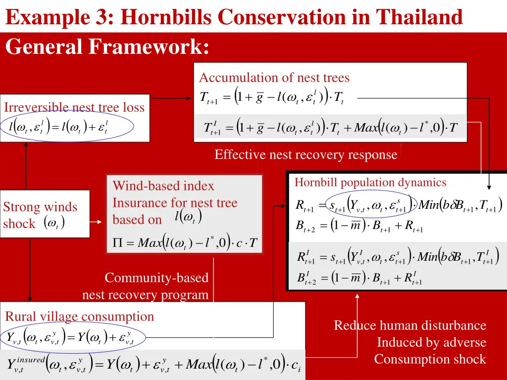 example 3 hornbills conservation in thailand 2