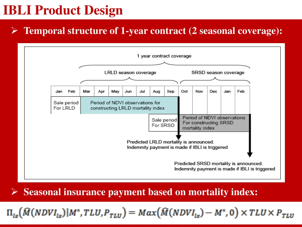 ibli product design