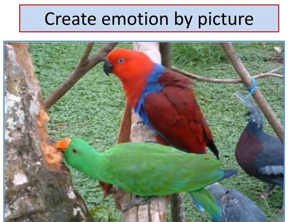 create emotion by picture