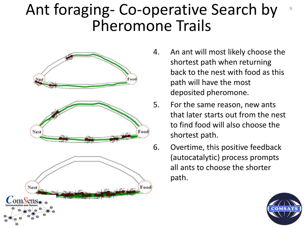 ant foraging co operative search by pheromone 1