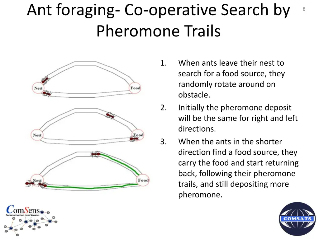 ant foraging co operative search by pheromone