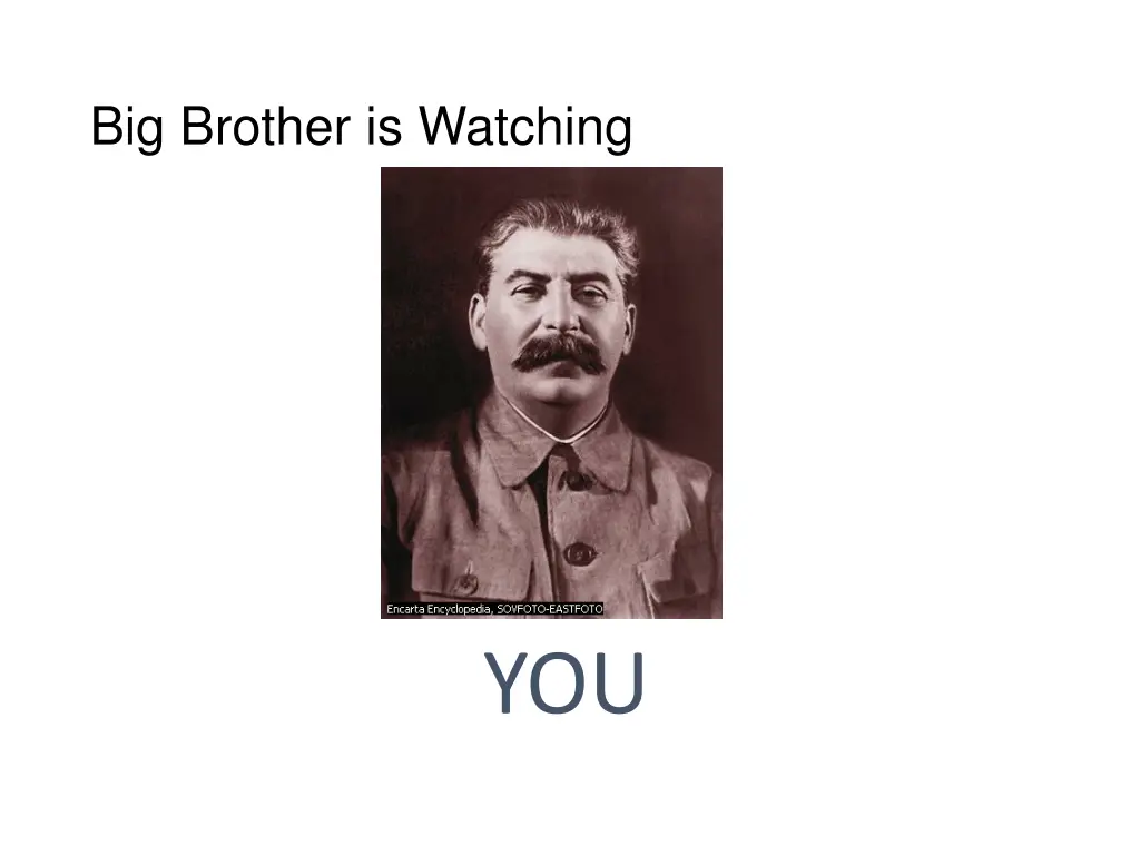 big brother is watching