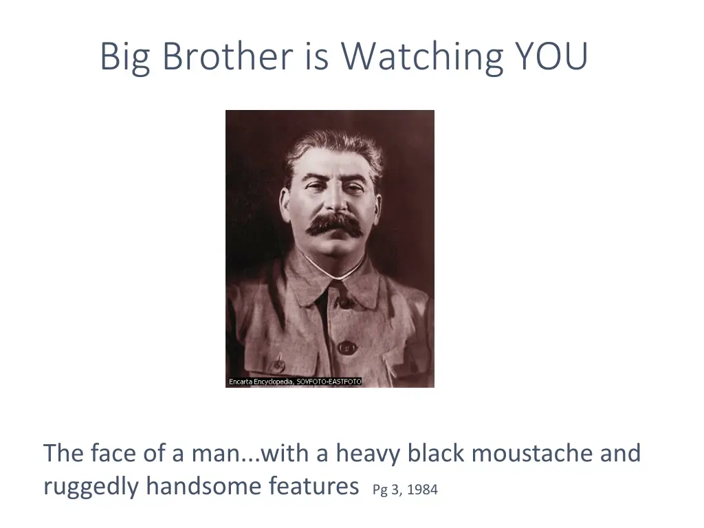 big brother is watching you