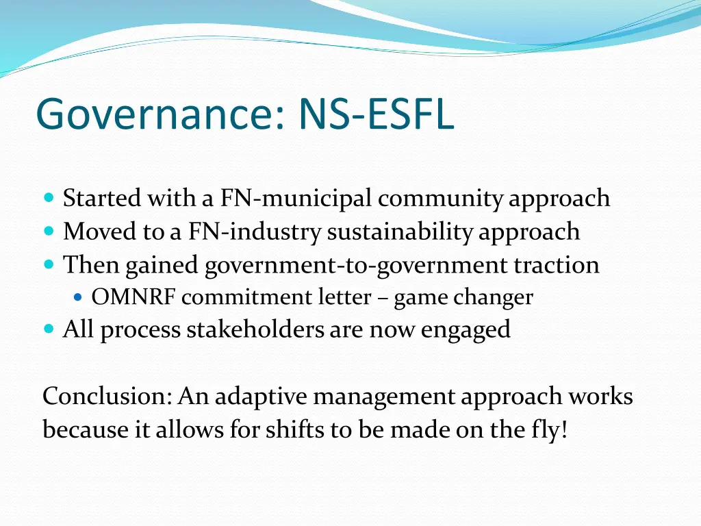 governance ns esfl