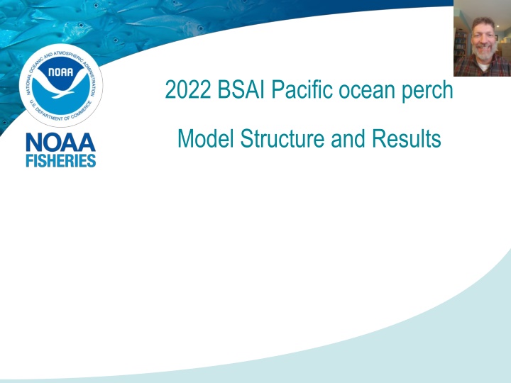 2022 bsai pacific ocean perch