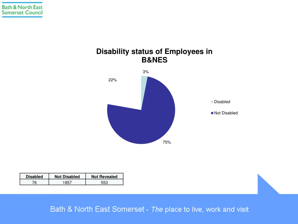 disability status of employees in b nes