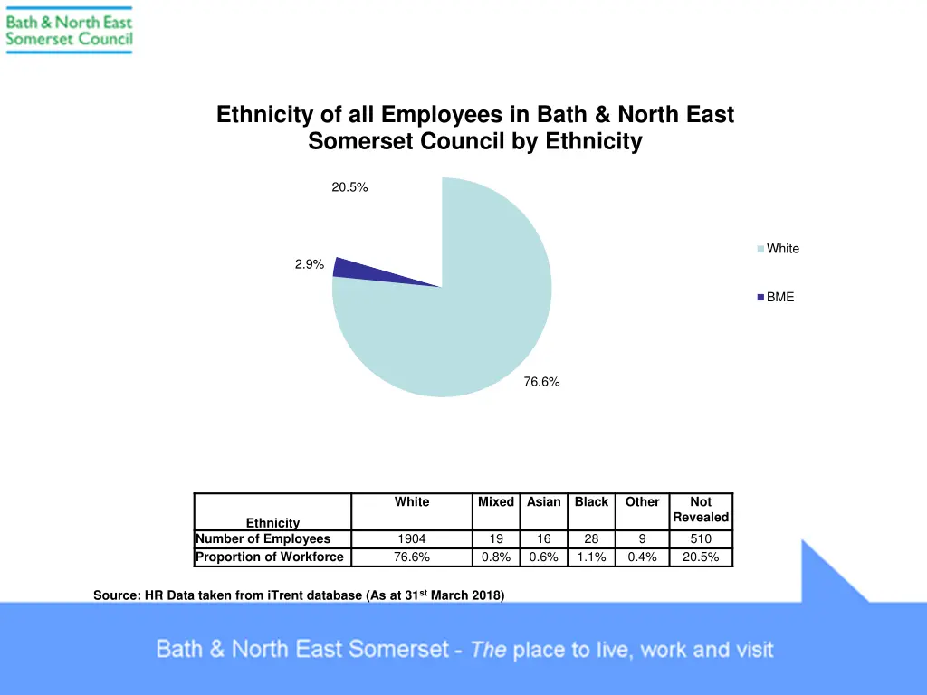 ethnicity of all employees in bath north east