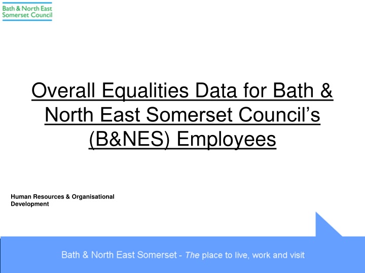 overall equalities data for bath north east