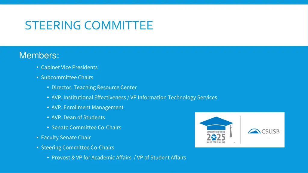 steering committee