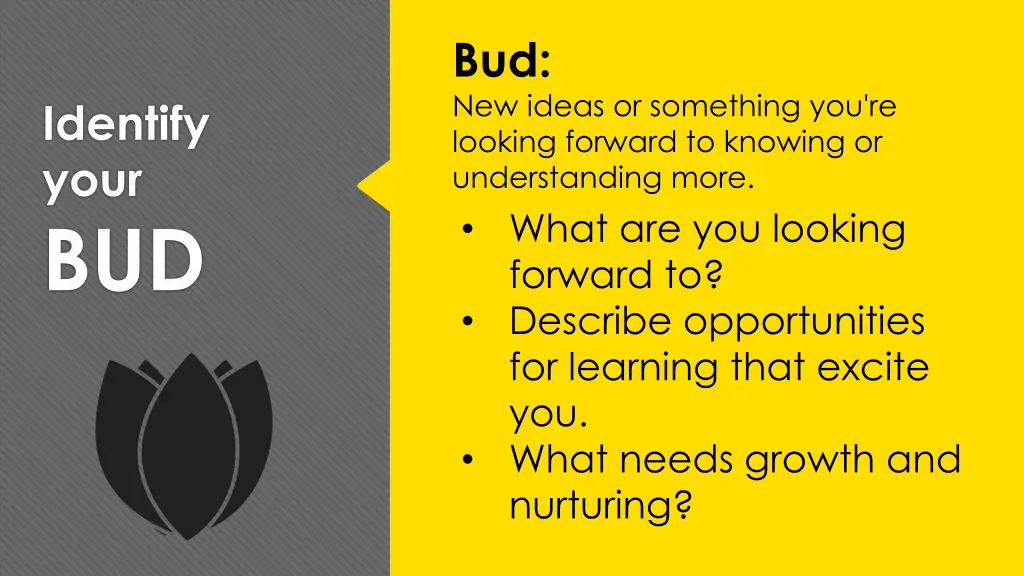 bud new ideas or something you re looking forward