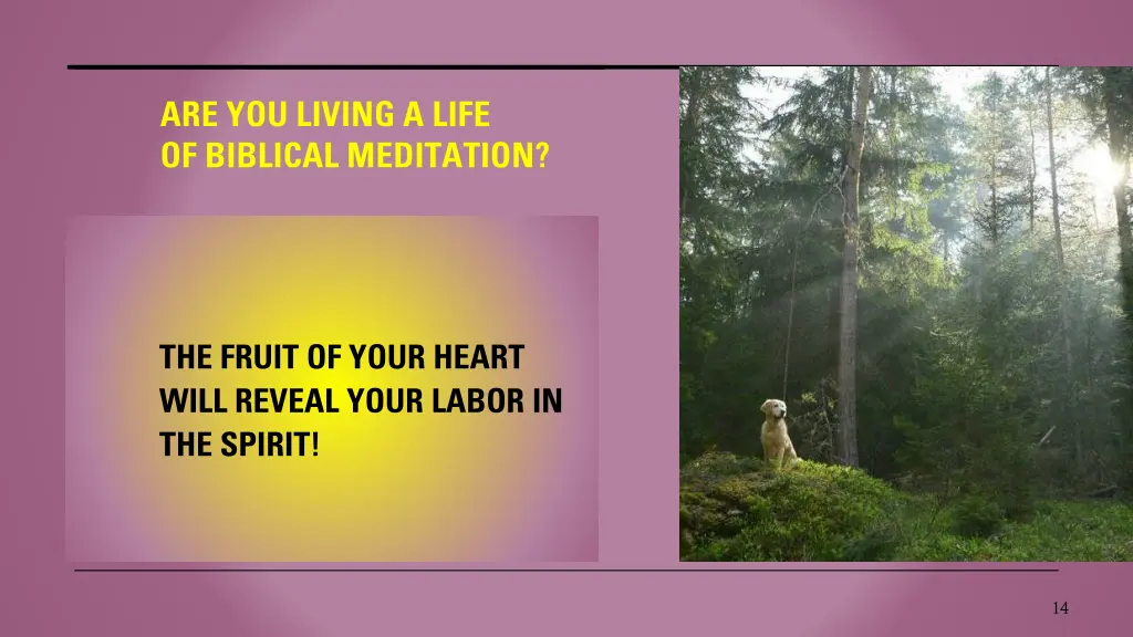 are you living a life of biblical meditation 1