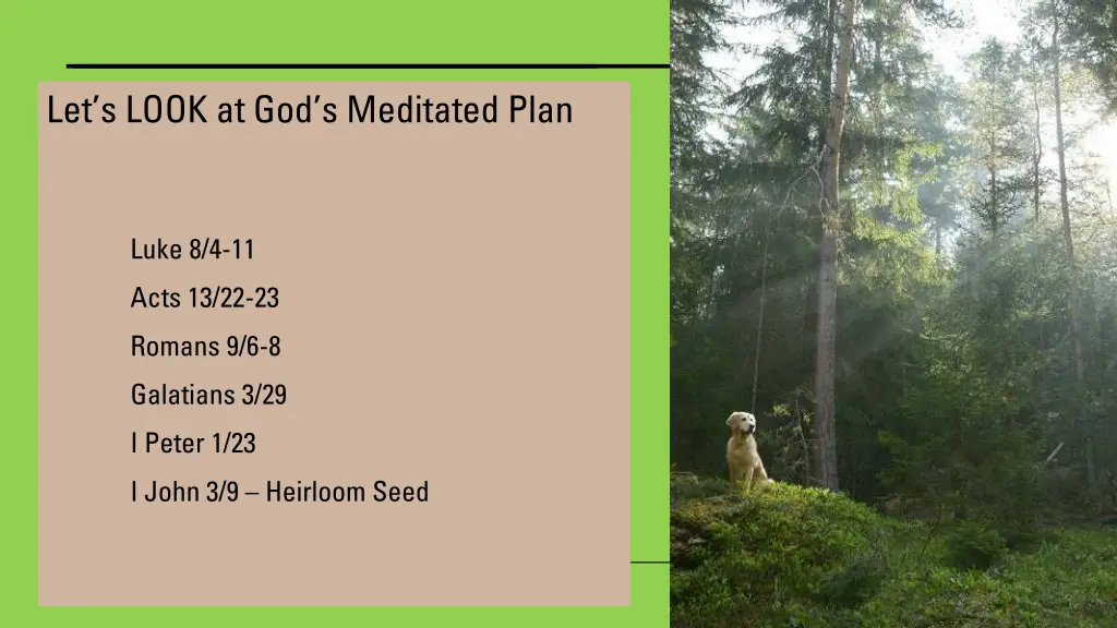 let s look at god s meditated plan