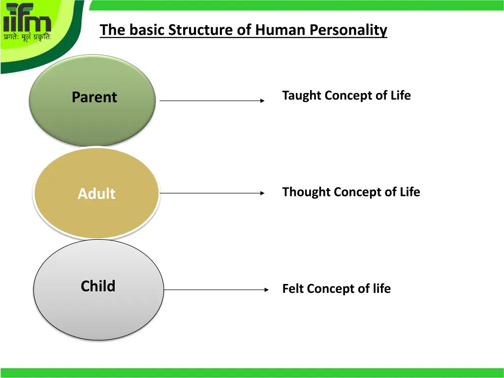 the basic structure of human personality