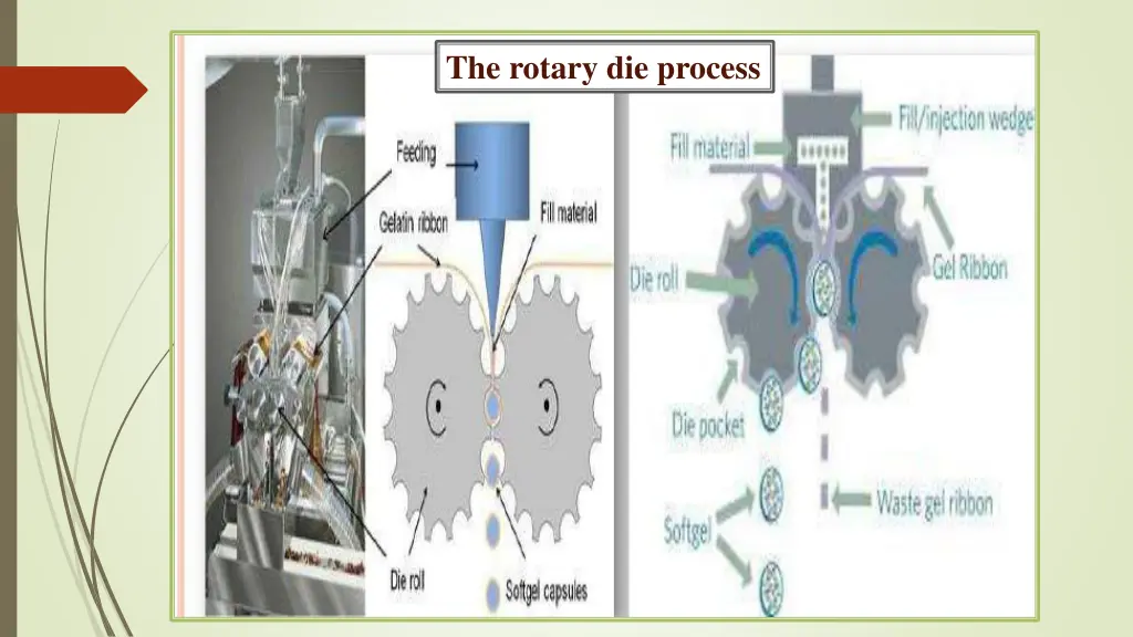 the rotary die process