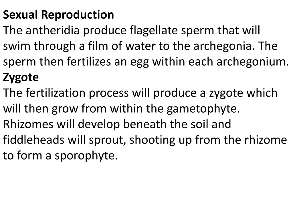 sexual reproduction the antheridia produce