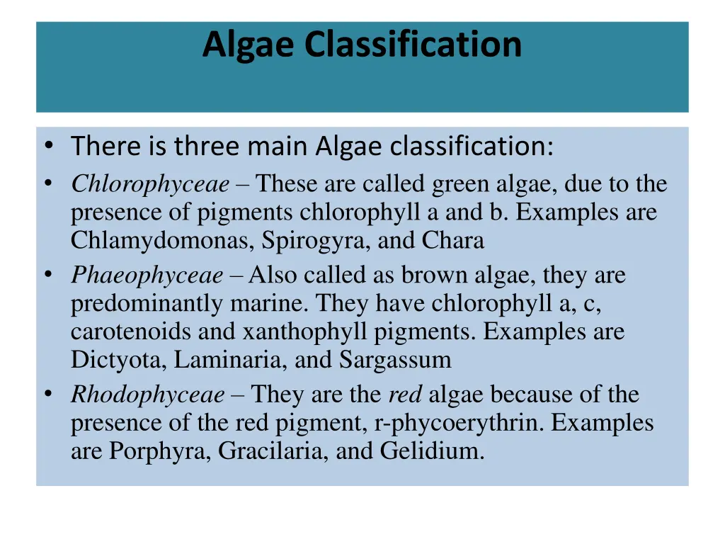 algae classification