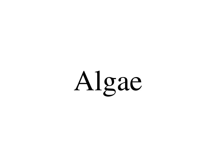 algae