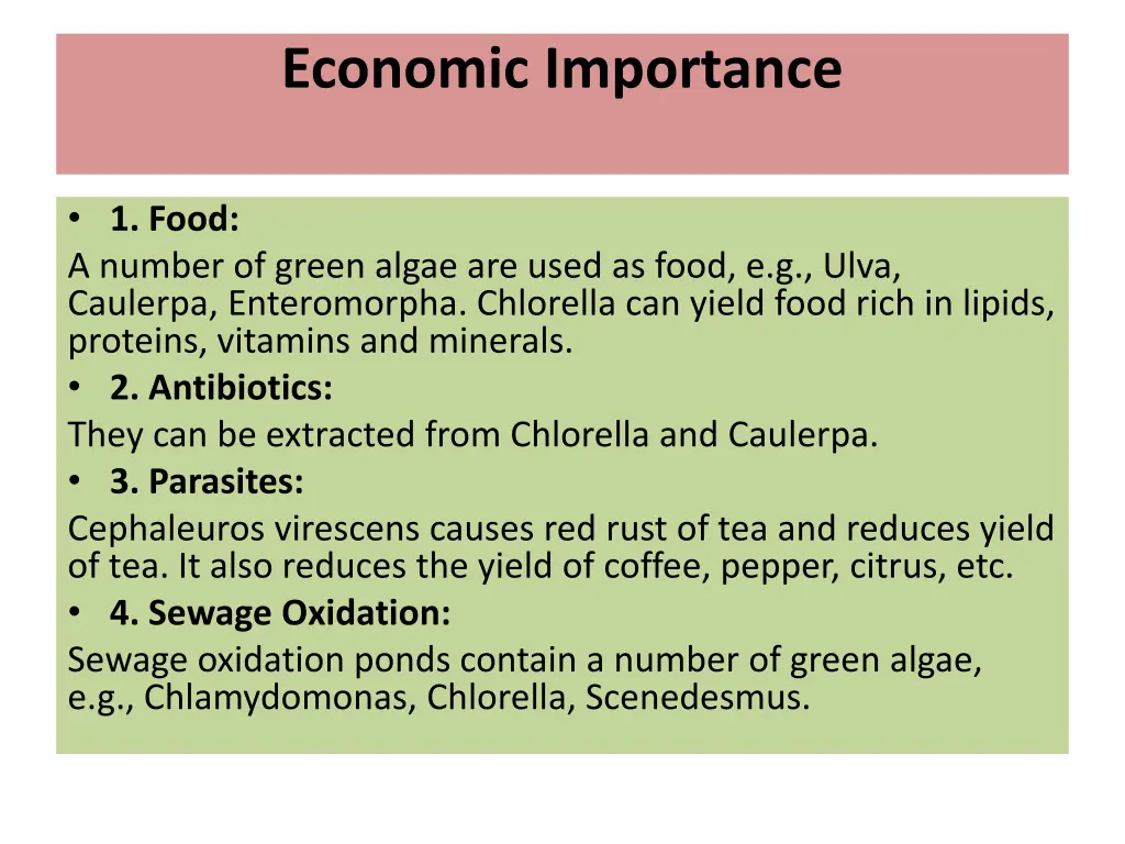 economic importance