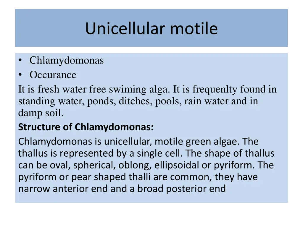 unicellular motile