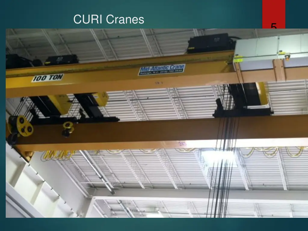 curi cranes