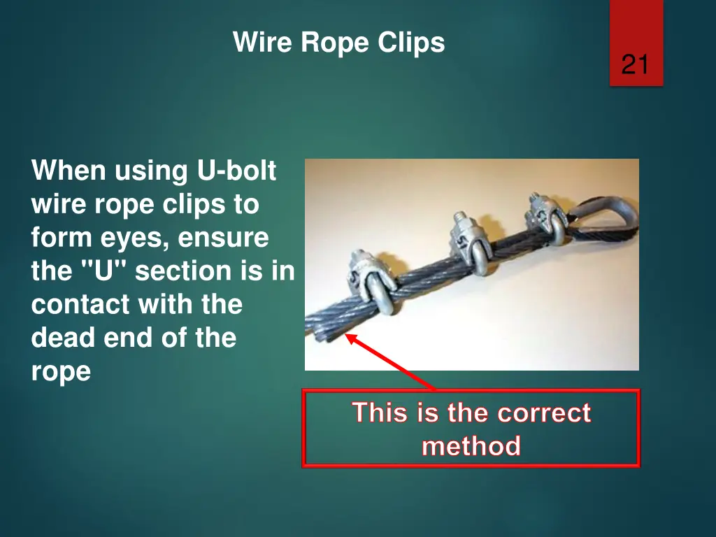 wire rope clips