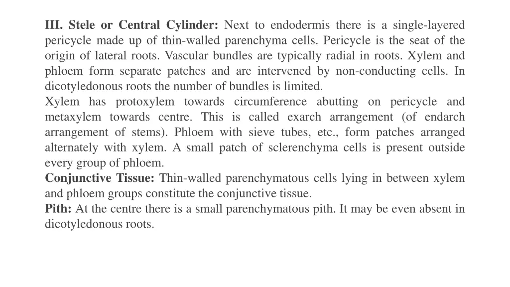 iii stele or central cylinder next to endodermis