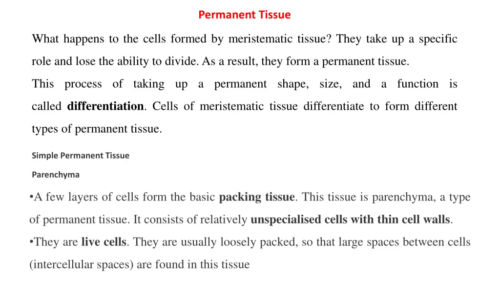 permanent tissue