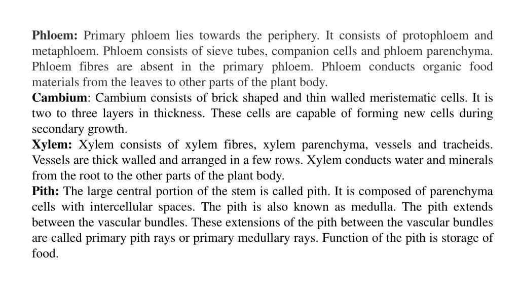 phloem primary phloem lies towards the periphery