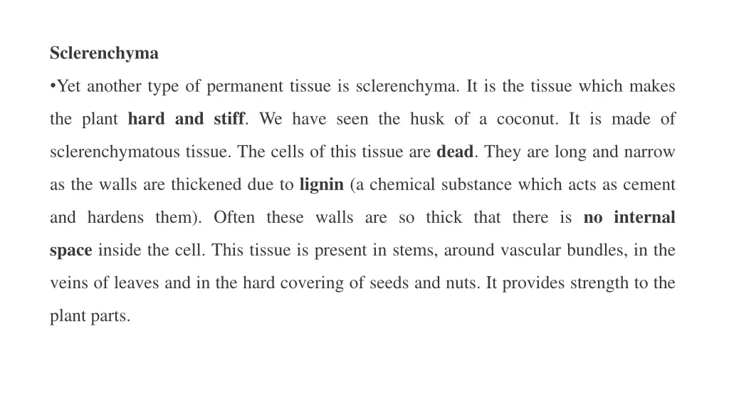 sclerenchyma