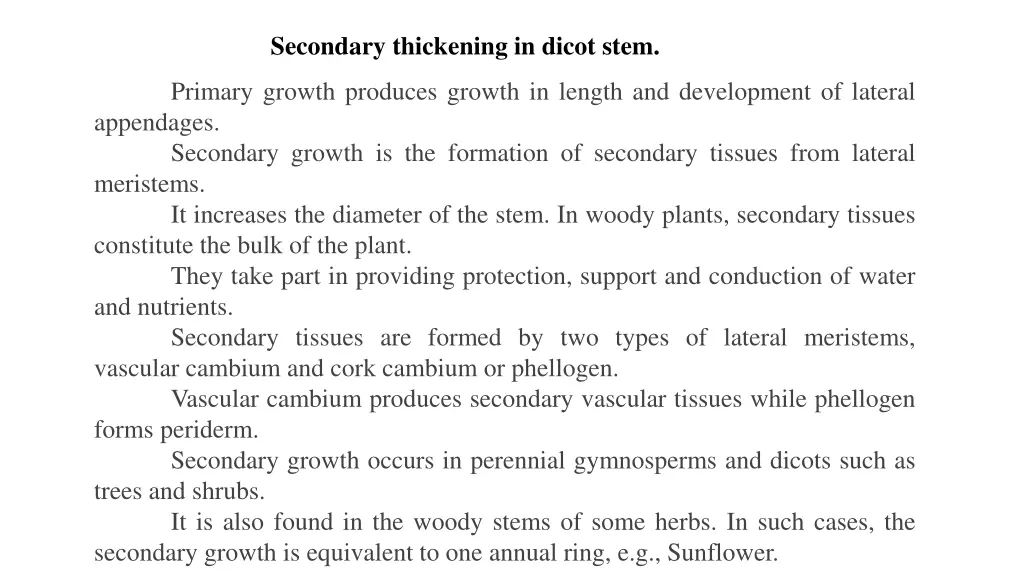 secondary thickening in dicot stem