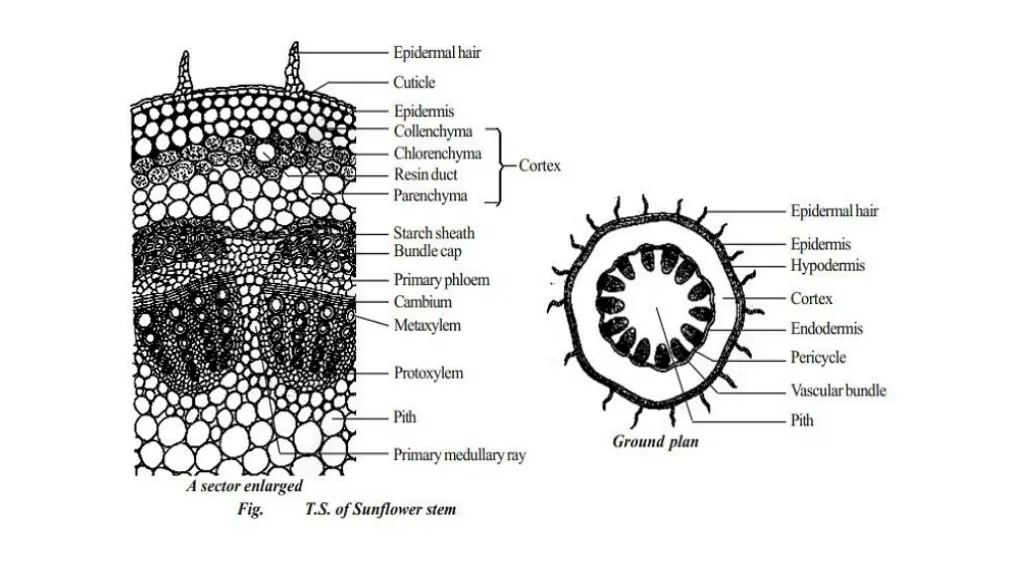 slide15