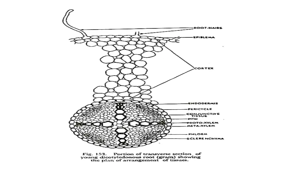 slide19