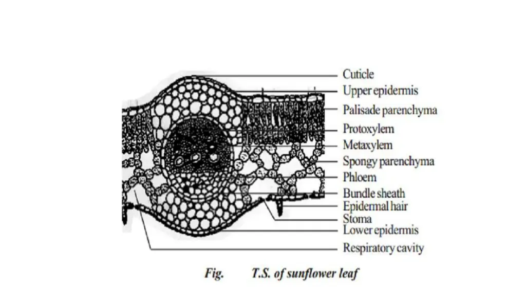 slide22