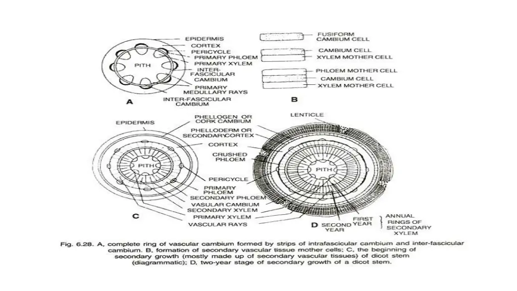 slide27