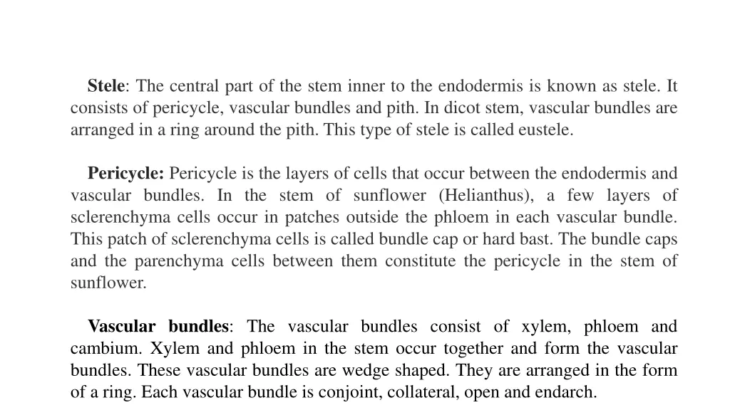 stele the central part of the stem inner