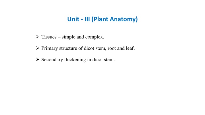 unit iii plant anatomy