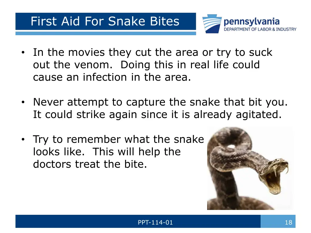 first aid for snake bites 1