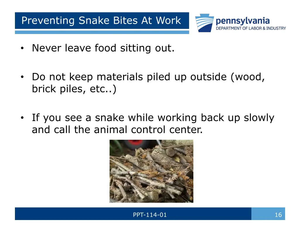 preventing snake bites at work 1