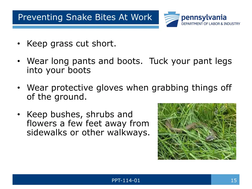 preventing snake bites at work