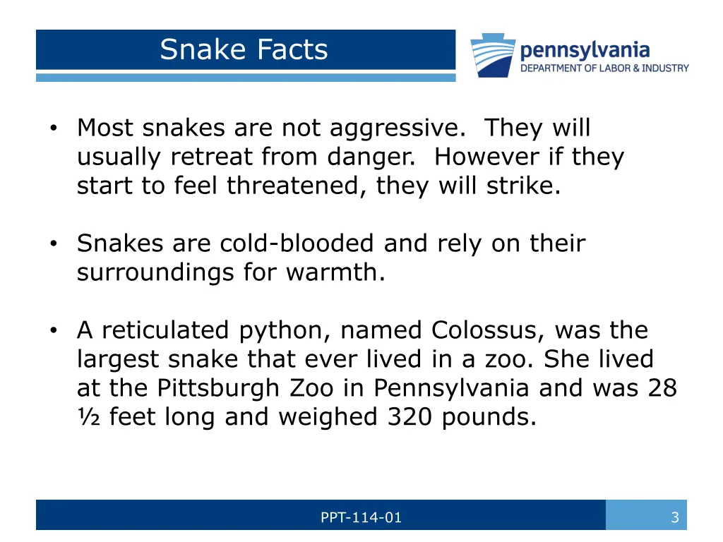 snake facts 1