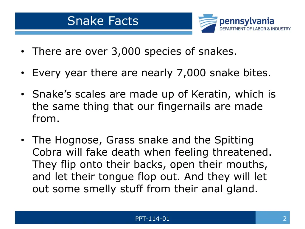 snake facts