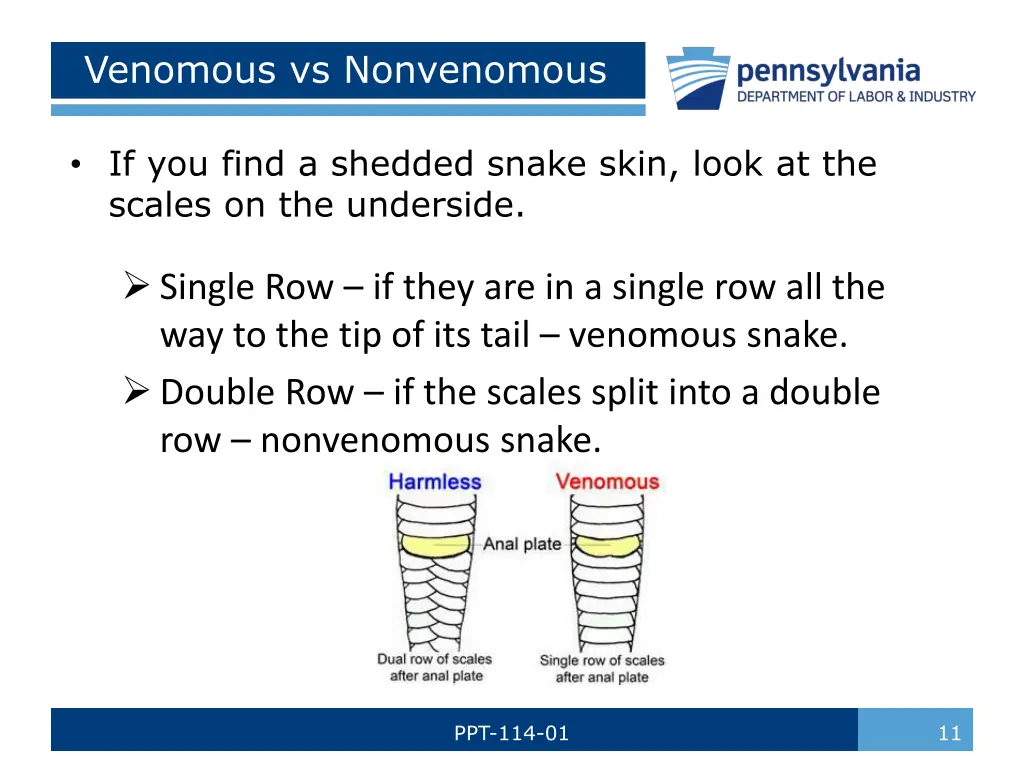 venomous vs nonvenomous 2