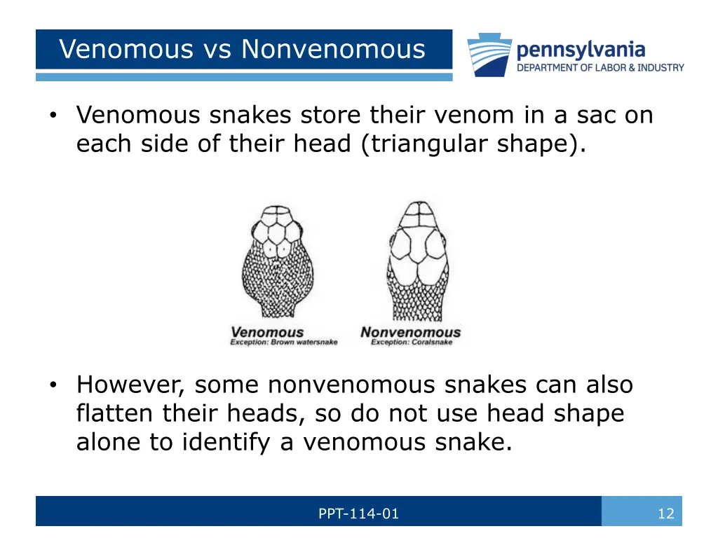 venomous vs nonvenomous 3