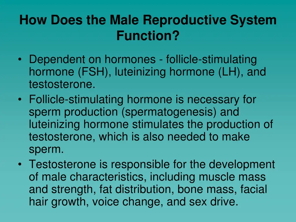 how does the male reproductive system function