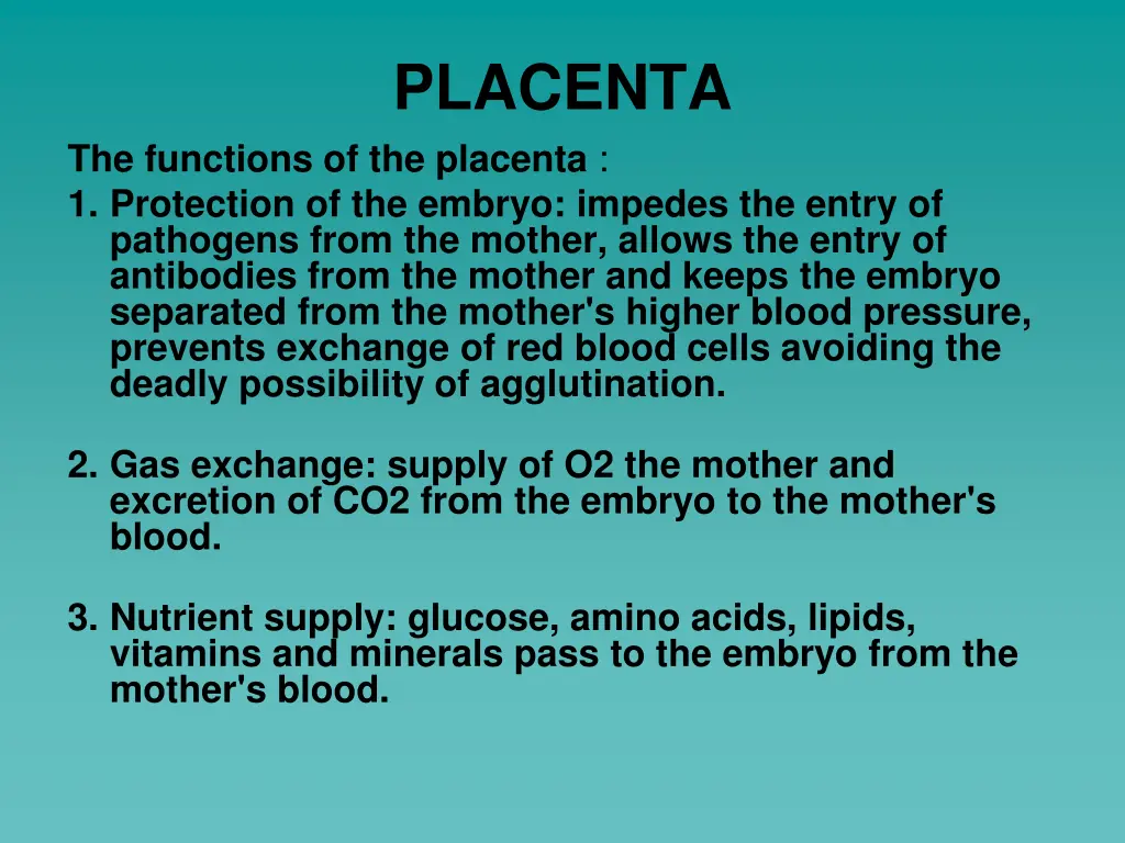 placenta